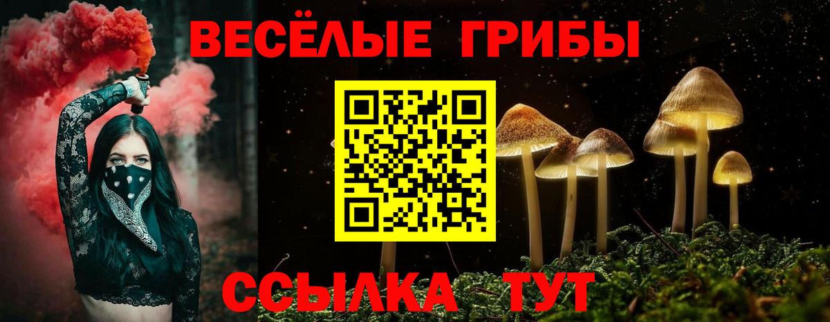 Галлюциногенные грибы MAGIC MUSHROOMS  Вход с VPN  наркошоп  Ялуторовск 